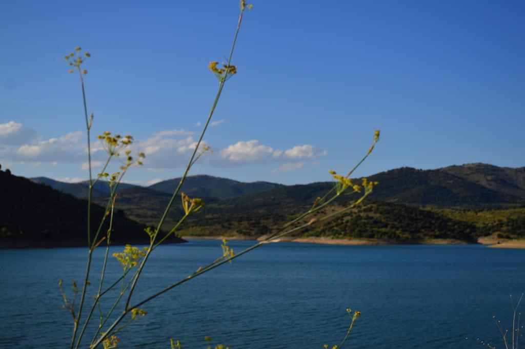 Casa Rural Los Lilos Gotor Rum bild