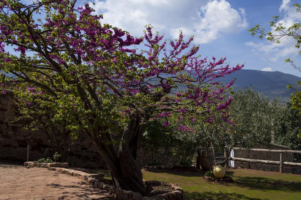 Casa Rural Los Lilos Gotor Rum bild
